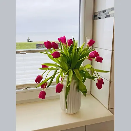 Priwall Teichhof Fehmarn 公寓 Wenkendorf