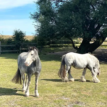 Priwall Teichhof Fehmarn Lägenhet