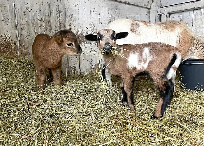 Priwall Teichhof Fehmarn * Wenkendorf