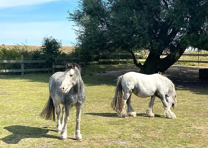 Priwall Teichhof Fehmarn Lägenhet