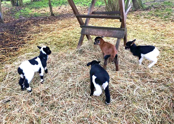 Lägenhet Priwall Teichhof Fehmarn